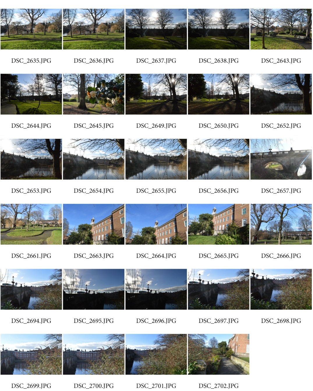 deep depth of field.jpg